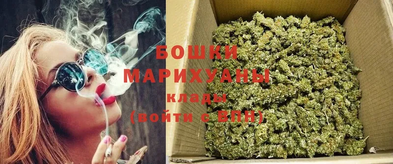 Канабис OG Kush  Чусовой 